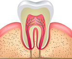  Dr. Rony Endodontia, tratamento de Canal em Ipanema. Medicosrio.com.br